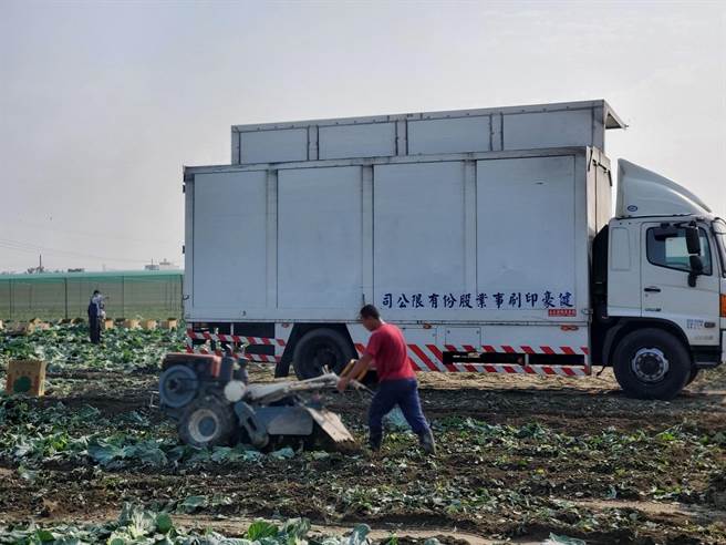 台中健豪印刷厂的物流车这几天除了送货，还到云林的高丽菜园载菜。（周丽兰摄）