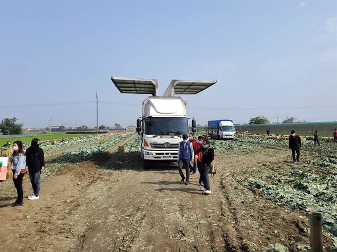 台中健豪印刷厂的物流车这几天除了送货，还到云林的高丽菜园载菜。（周丽兰摄）