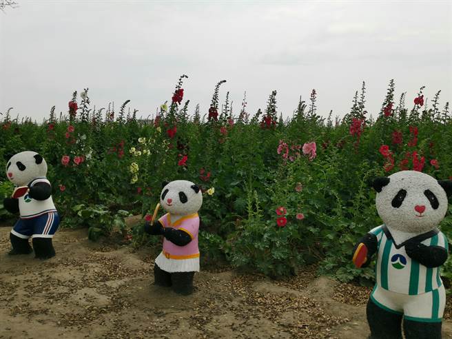 学甲蜀葵花文化节可爱艺术装置。（刘秀芬摄）