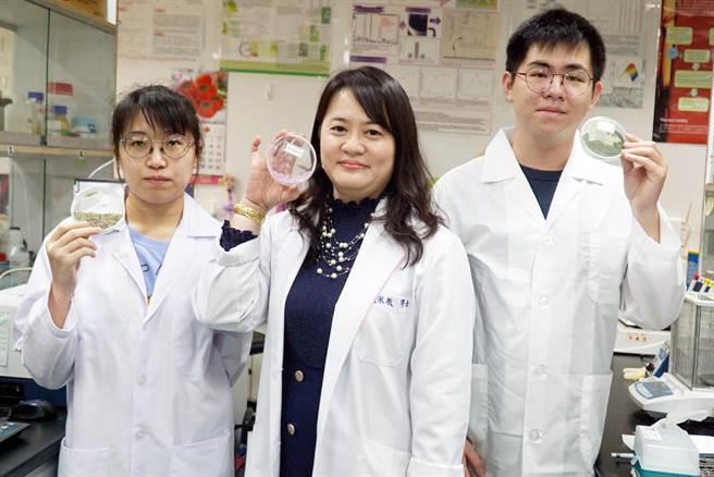 大葉大學藥保系副教授張淑微（中）帶領學生投入海藻附加價值應用研究。（大葉大學提供／謝瓊雲彰化傳真）