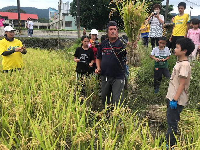花莲县光復乡西富国小与社区共从保育蝙蝠打造优质的环境，进而提升在地有机小农收入。(图/信义房屋提供)

