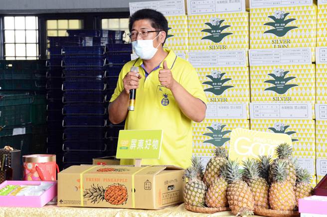 遇到贸易商刻意压低价格，凤梨农洪铭聪坚持不贱价出售。(林和生摄)