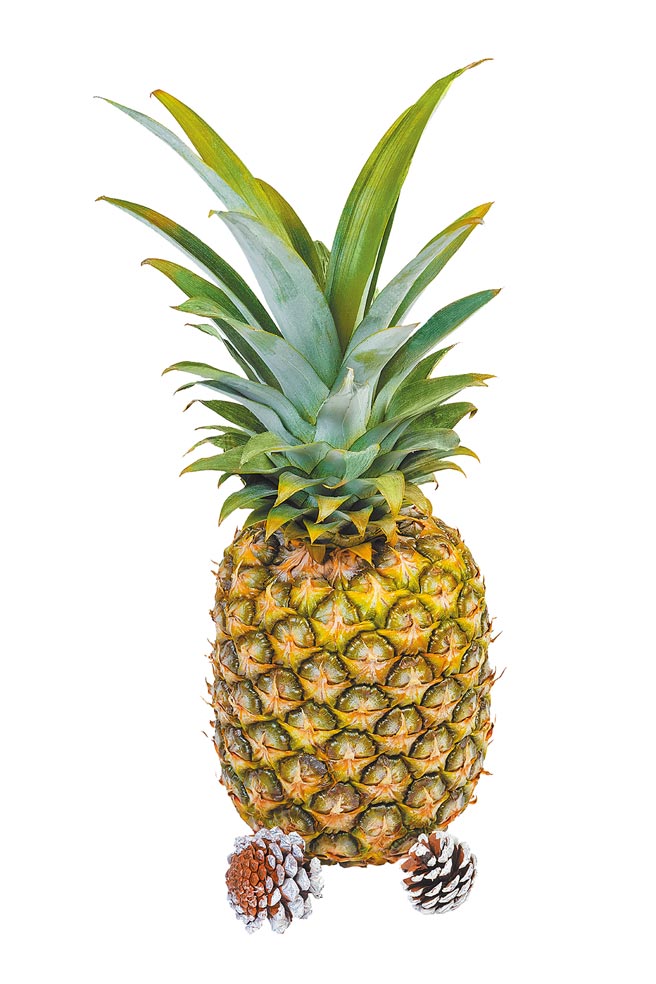 全联国产凤梨，每颗约1.2kg，55元。（全联提供）