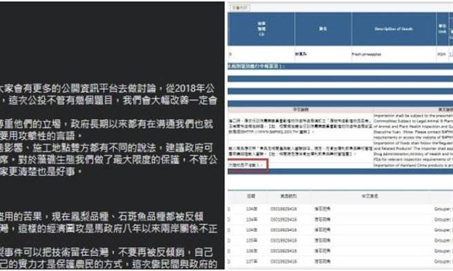 Lin Bay好油》远看像凤梨，近看是井蛙？！（爱传媒提供）