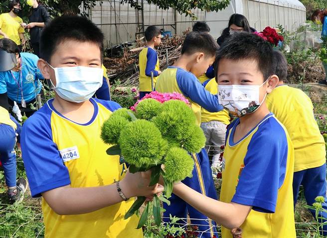 嘉义市育人国小发展「小花农」特色课程，日前欢喜庆帮收，小花农亲手採下自己栽种的花卉，十分有成就感。（吕妍庭摄）