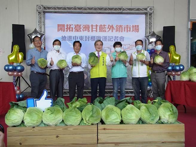 农委会农粮署3支箭促销高丽菜，外销高丽菜至杜拜。（张朝欣摄）