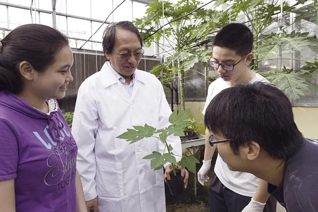 中兴大学植物病理学系叶锡东教授暨中研院院士以木瓜研究扬名国际。  图／中兴大学提供