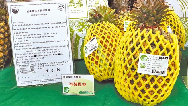 澳洲台商向台农发订购2吨凤梨，希望下周到货，可望成为我国销往澳洲的首批生鲜凤梨。（林良齐摄）