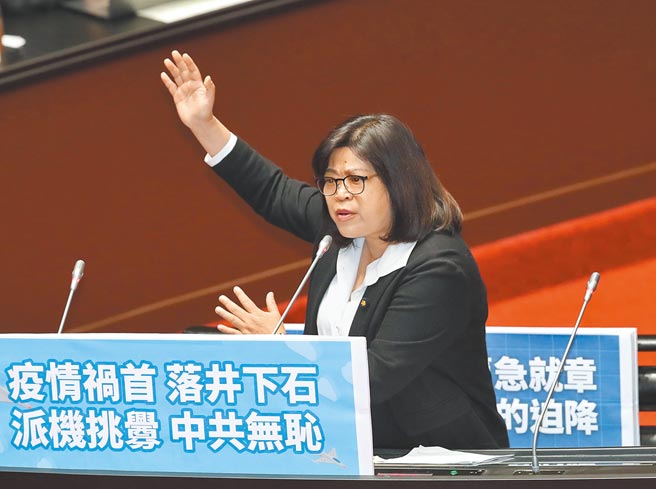 立委王美惠5日在立法院质询。（郑任南摄）