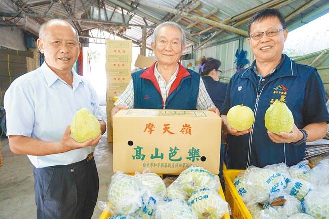 台中市和平区农会当权派取得过半理事席次，总干事李顺冬（左）可望获续聘。（本报资料照片）