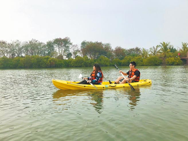 在大鵬灣划著獨木舟，展開台灣罕見的紅樹林探索之旅。（何書青攝）