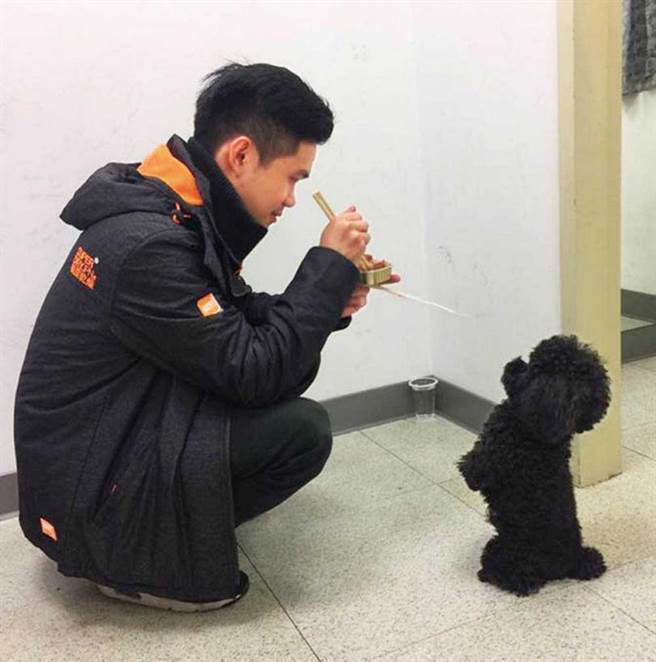 很受工作人员宠爱的BINGO，在摄影棚里不但有吃有玩，还有「炮枕」可以发泄精力。（图／翻摄自吴宗宪脸书）