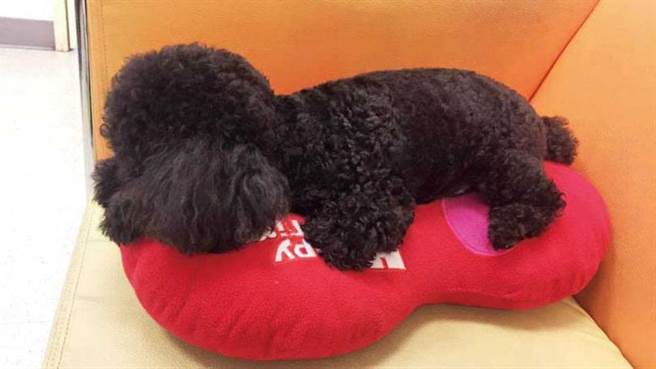 （图／翻摄自吴宗宪脸书）