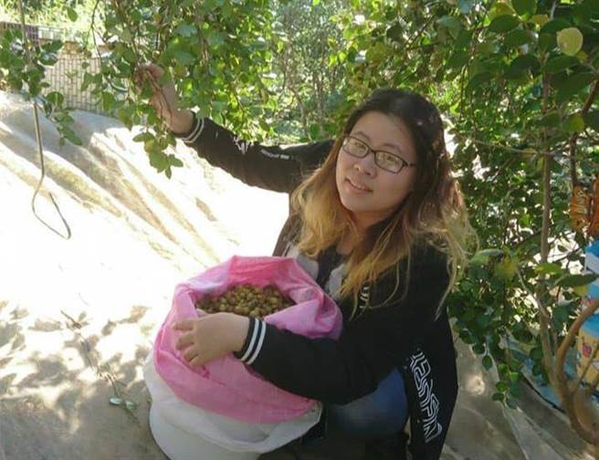 廖怡雯考量父母年纪渐长，返乡接手农园，重新行销举办苦茶油制作体验等活动，让三代传统农园转型，注入新活力。（新北市农业局提供）