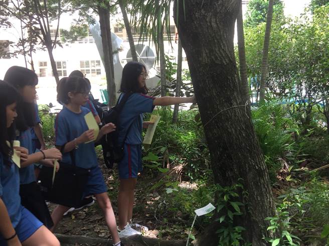 一班一棵树　新北三民高中人人为树朗读、马杀鸡（教育局提供／戴上容新北传真）