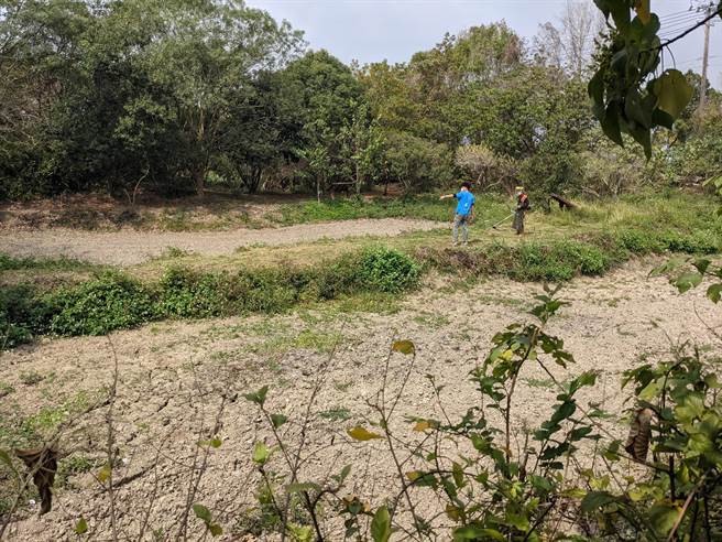 天旱缺水，台南官田水雉生态教育园区内11座生态池，目前仅有未对外开放的核心区有蓄水，且水量不多，一期作停灌，嘉南大圳未放水，目前园区也只能靠抽取井水应急。（庄曜聪摄）