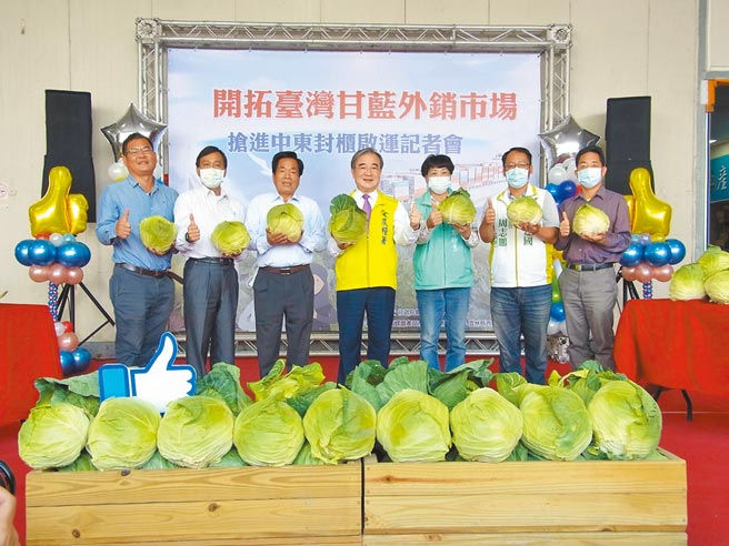 农委会农粮署3支箭促销高丽菜，外销高丽菜至杜拜。（张朝欣摄）