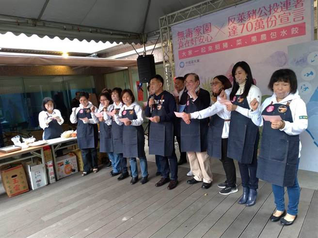 国民党主席江启臣、秘书长李乾龙与女立委、党务主管一起食安元年宣誓。（黄福其摄）