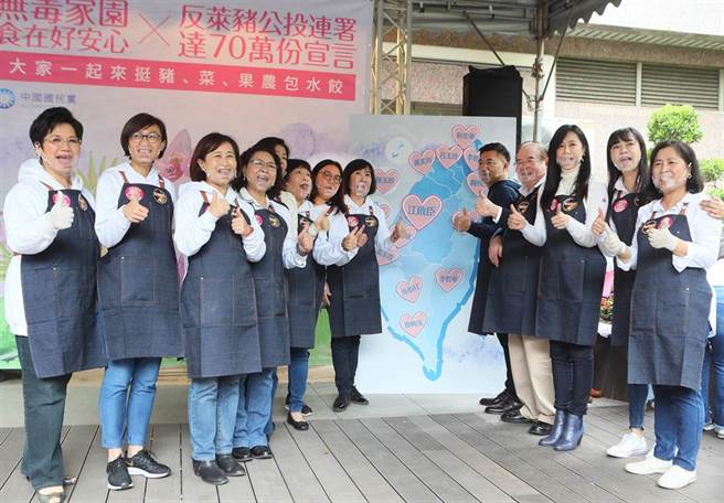 党主席江启臣（右五）与同党立委、议员共同发表食安宣言。（陈怡诚摄）