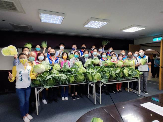 立委陳亭妃、台南市議會及企業攜手購買約9萬斤的新鮮高麗菜，將從9日上午9點起，同步在全市各議員服務處免費提供民眾索取，送完為止。（洪榮志攝）