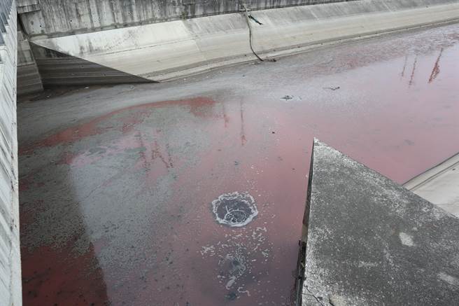 嘉义县朴子市鸭母寮大排牛挑湾段水面染红，还布满一片片咖啡色物体。（张毓翎摄）