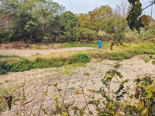 天旱缺水，台南官田水雉生态教育园区内11座生态池，目前仅有未对外开放的核心区有蓄水，且水量不多，一期作停灌，嘉南大圳未放水，目前园区也只能靠抽取井水应急。（庄曜聪摄）