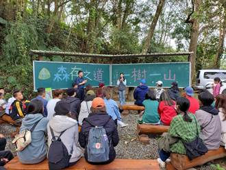 「一樹一山」移師泰安 新竹林管處響應捐百株樹苗