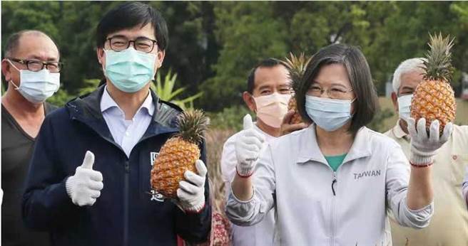 大陆发布凤梨禁运令后，228当天蔡英文南下高雄市大树区，力挺国产凤梨并安抚农民。（图／报系资料照）