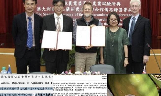 Lin Bay好油》荔枝输澳洲的真相。（爱传媒提供）