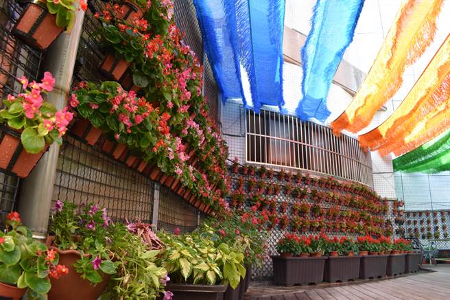 沙鹿高工「阿宝花园」为集中式特教班课程授课场域。（沙鹿高工提供／陈淑娥台中传真）