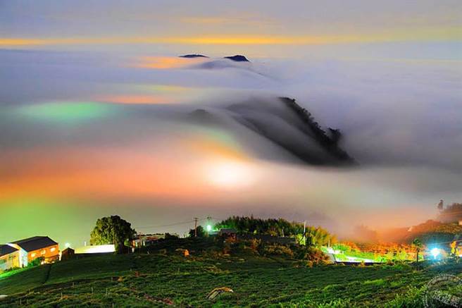 阿里山六大主题旅游 推出3款游程。（旅游经提供）