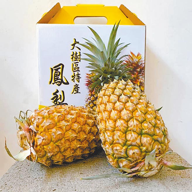 莱尔富透过预购方式，贩售高雄市大树区产地现採、新鲜直送的台农17号金钻凤梨，约4.5公斤（2至3支凤梨），260元。（莱尔富提供）