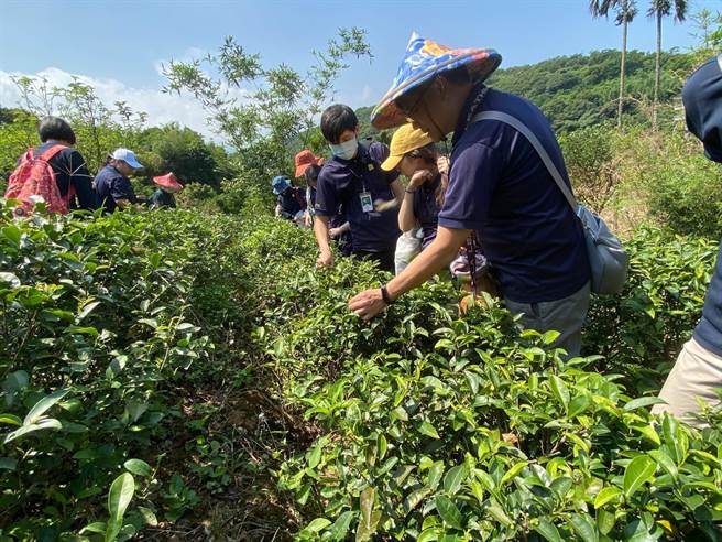 沪尾艺文休閒园区串连周边景点，打造《春游沪尾心旅行》专属游程。（沪尾艺文休閒园区提供）