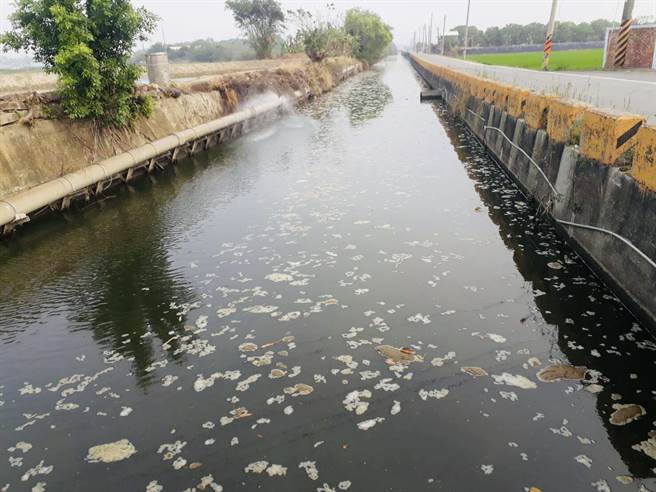 高雄桥头丰祥路排沟日前被人发现臭气冲天，竟遍布牛粪尿。（环保局提供／曹明正高雄传真）