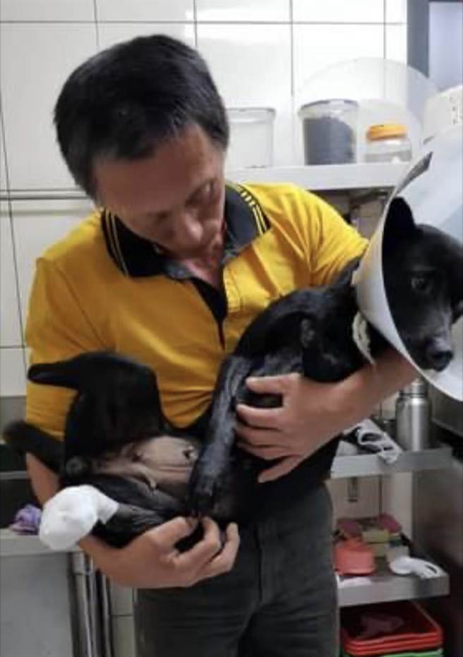 这只黑狗误触捕兽夹，3只脚都被夹断，「海爸」抱着黑狗，心痛不已。（海爸提供／王志伟花莲传真）