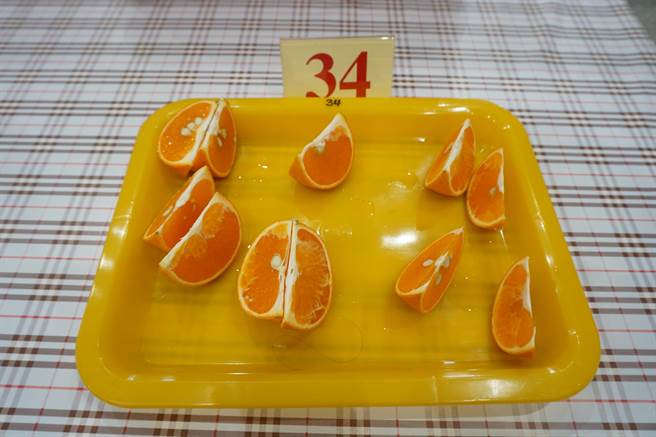 乾旱及低温等恶劣环境，造就台中茂谷柑今年的转色、糖度、肉质表现均优于往年水准。（王文吉摄）