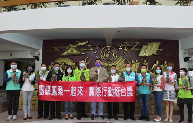 挺果農 新北議會民進黨團購3000箱鳳梨。（葉德正攝）