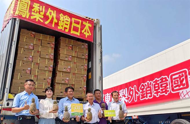 屏東鳳梨今年首外銷韓國，以40呎貨櫃供貨至韓國釜山超市鋪貨，11日舉行封櫃儀式，未來希望繼續推廣到韓國全國。（潘建志攝）