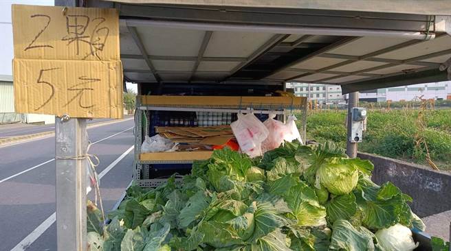 高丽菜整车贱卖2颗5元，夸张低价让网友全看呆。（图／翻摄自爆废1公社）