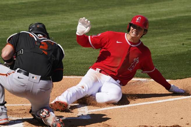 大谷翔平连5场安打，此战要回本垒时遭阻杀出局。（美联社）