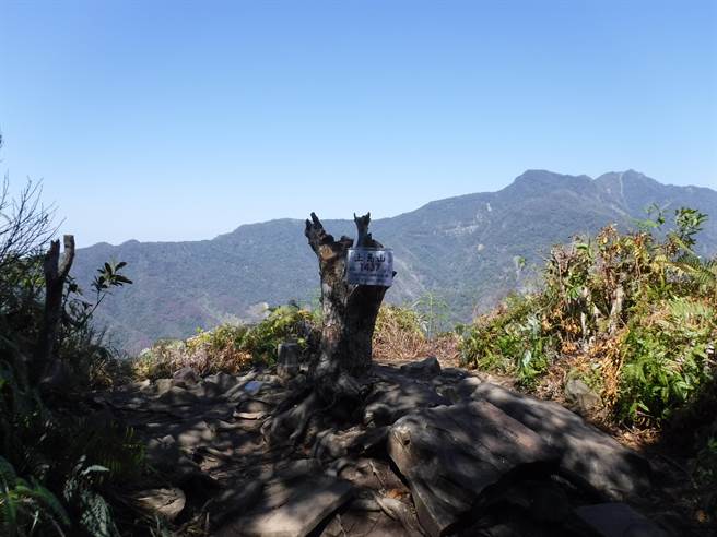 鳥嘴山頂。（新竹林管處提供／巫靜婷苗栗傳真）