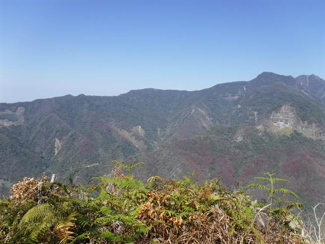 鳥嘴山頂對望橫龍山、虎子山。（新竹林管處提供／巫靜婷苗栗傳真）