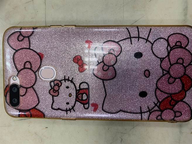 「Kitty猫」成铁证，惯窃钻窗潜宠物店偷6万因牠露馅。(戴志扬翻摄)