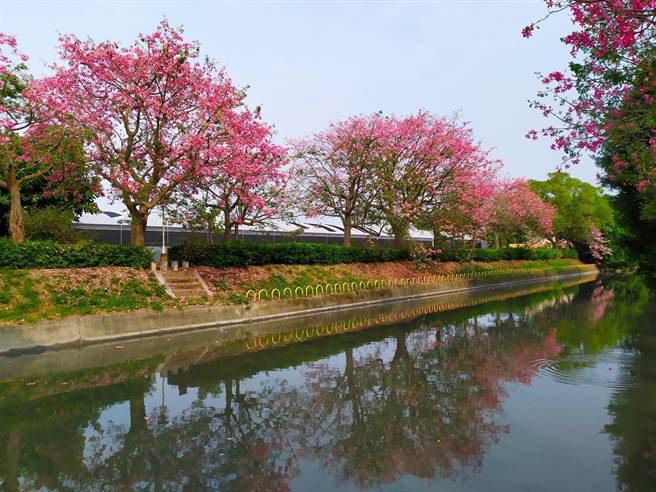 北斗河濱公園納入城鄉補助。（彰化縣政府提供／吳敏菁彰化傳真）