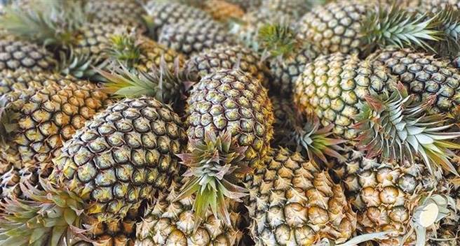 大陸3月起暫停台灣鳳梨進口。(圖/本報資料照)