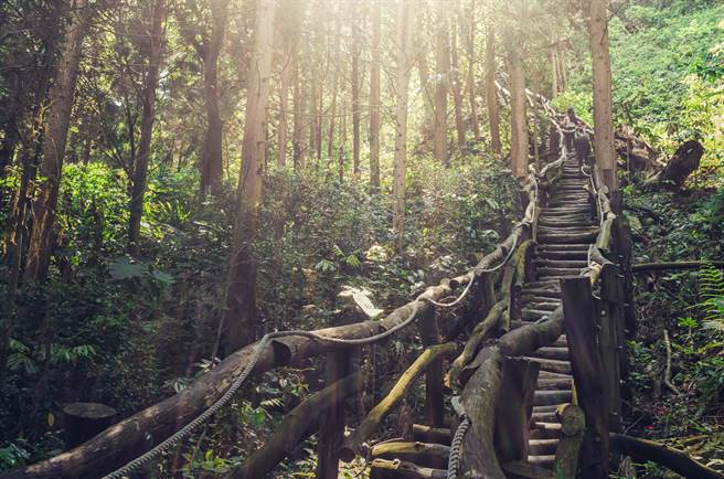 大坑粉4號步道。（台中市觀旅局提供／陳淑娥台中傳真）