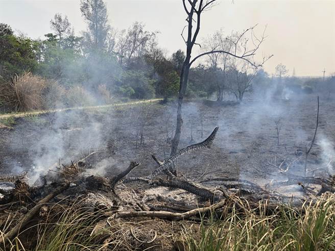 現場估計延燒雜草約5000平方公尺，無人受困傷亡，起火原因由火調課處理中。（李金生攝）