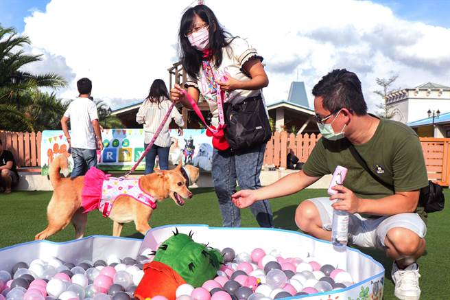 宠物乐园。（丽宝Outlet Mall提供／陈淑娥台中传真）