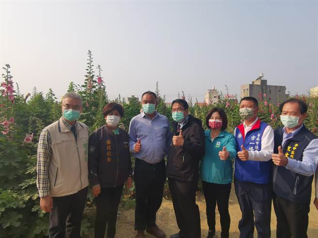 学甲蜀葵花节13日热闹开幕，台南市长黄伟哲（中）到场与民眾同乐。（刘秀芬摄）