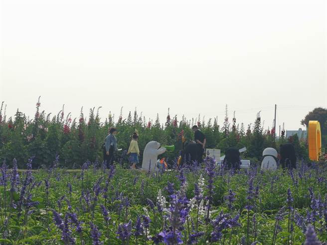 学甲在地青农郭孟和（右）、吴明哲贩售蒜头、玉女番茄等农产。（刘秀芬摄）